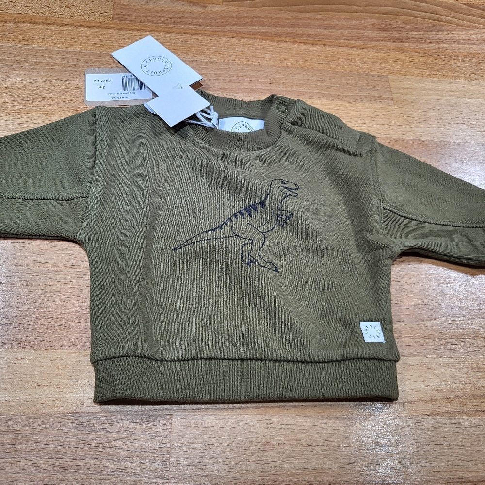 Nwt Baby Boys Size 3 Months Sproet & Sprout Dinosaur Green Adventure Sweatshirt